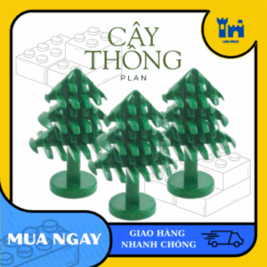 combo 10 cây thông xanh